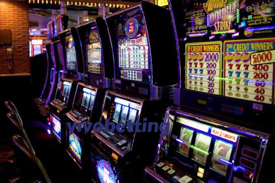 vivobetting Live Dealer Tables at Your Fingertips